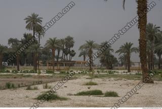 Photo Texture of Landscape Dendera 0180